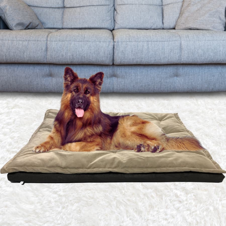 Cama Caminha Cachorro Colchonete Tipo Futon com Pillow Top, com dois travesseiros exclusivos.