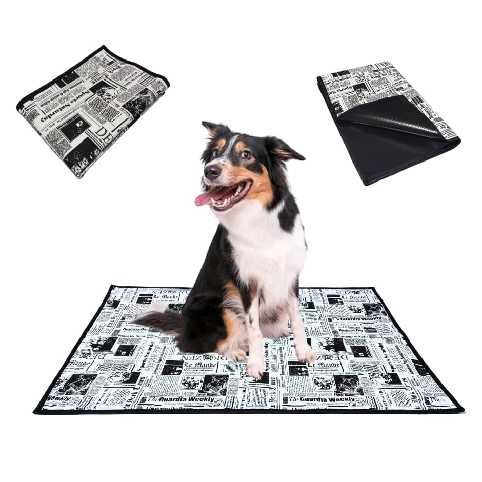 Kit 2 Tapetes Higiênicos Lavável 1.00x70 cães cachorro Pet estampa Jornal 300 Lavagens