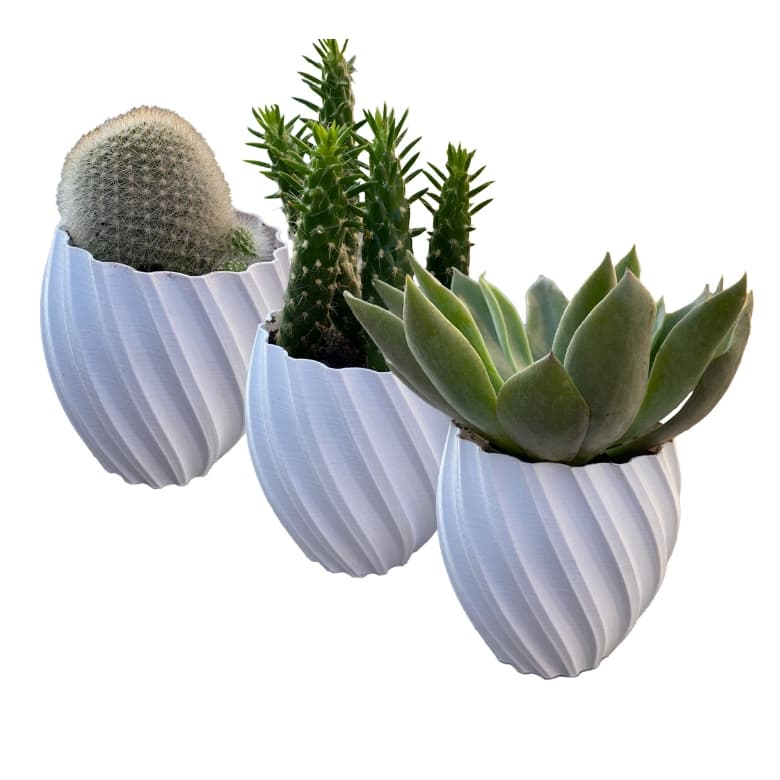 Kit Com 3 Mini Vasos Decorativos Decoração Para Suculenta e Cactos