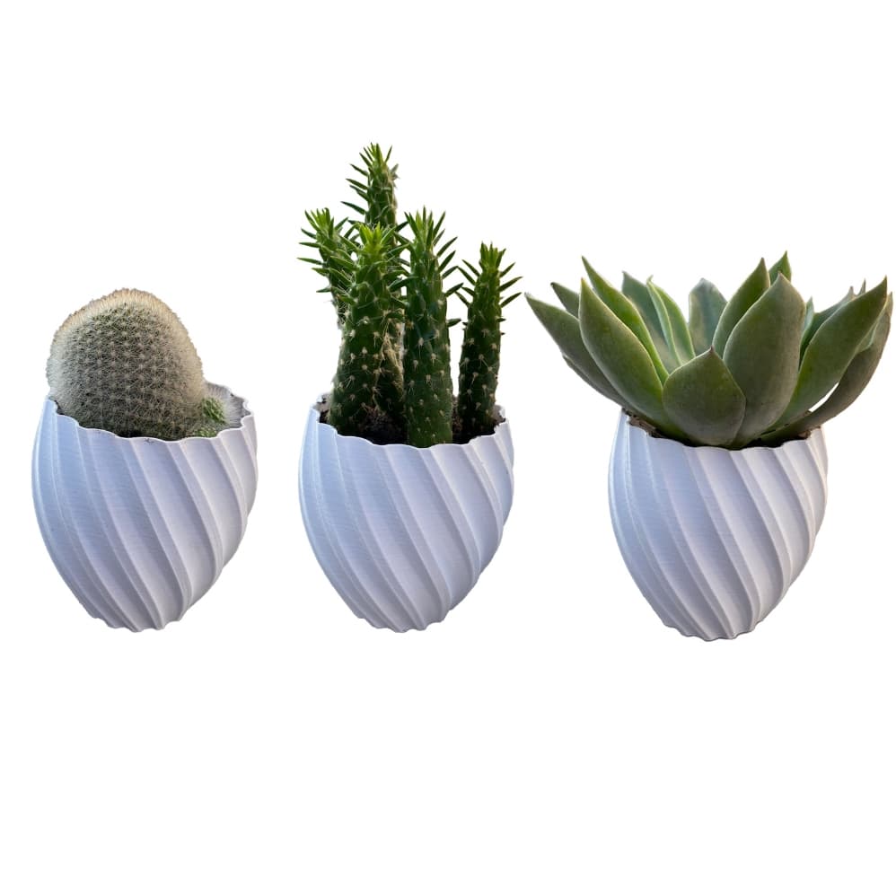 Mini Vasos Decorativos Kit 3 Unidades Decoração Para Suculenta e Cactos
