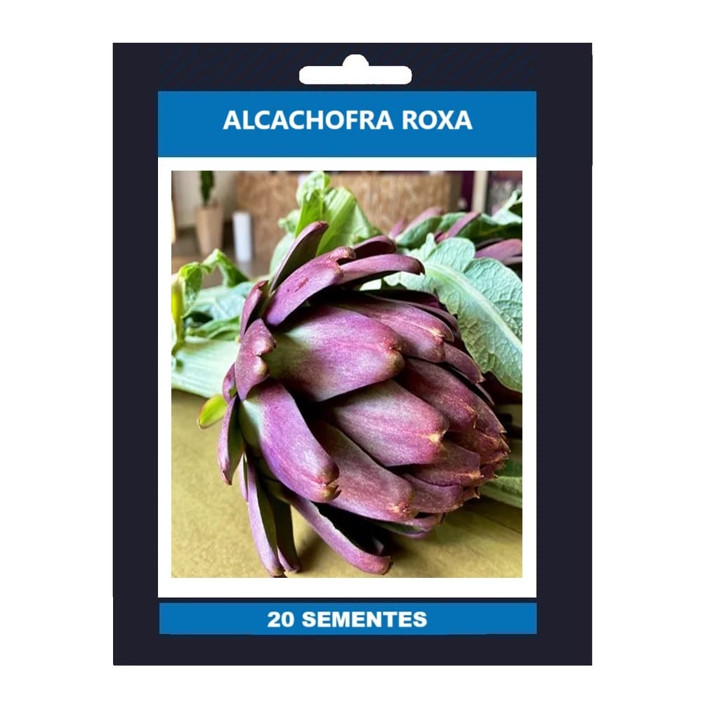 20 Sementes Premium De Alcachofra Roxa Violeta
