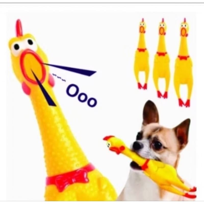Mordedor Galo Para Cachorro Mordedor Para Pet Frango com apito