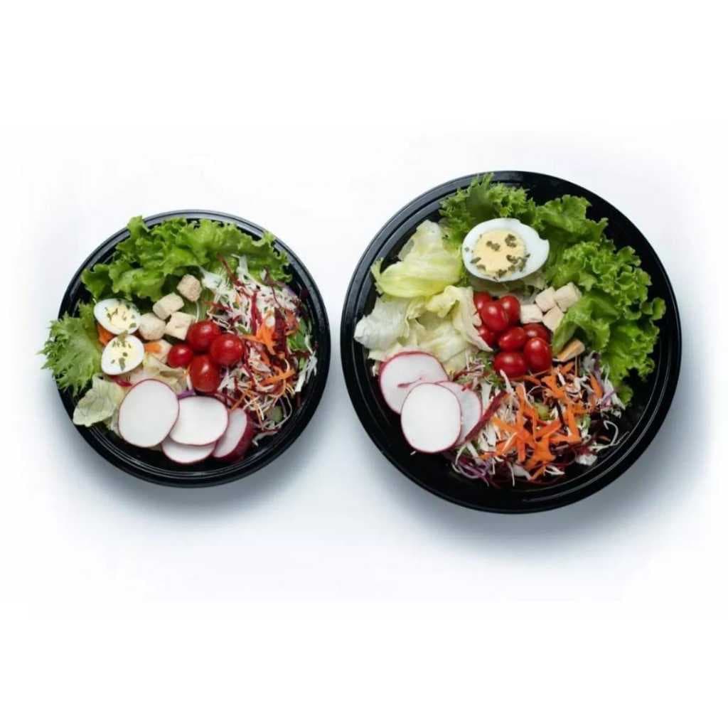 10un Saladeira 500ml Com Tampa Embalagem Descartável G25i