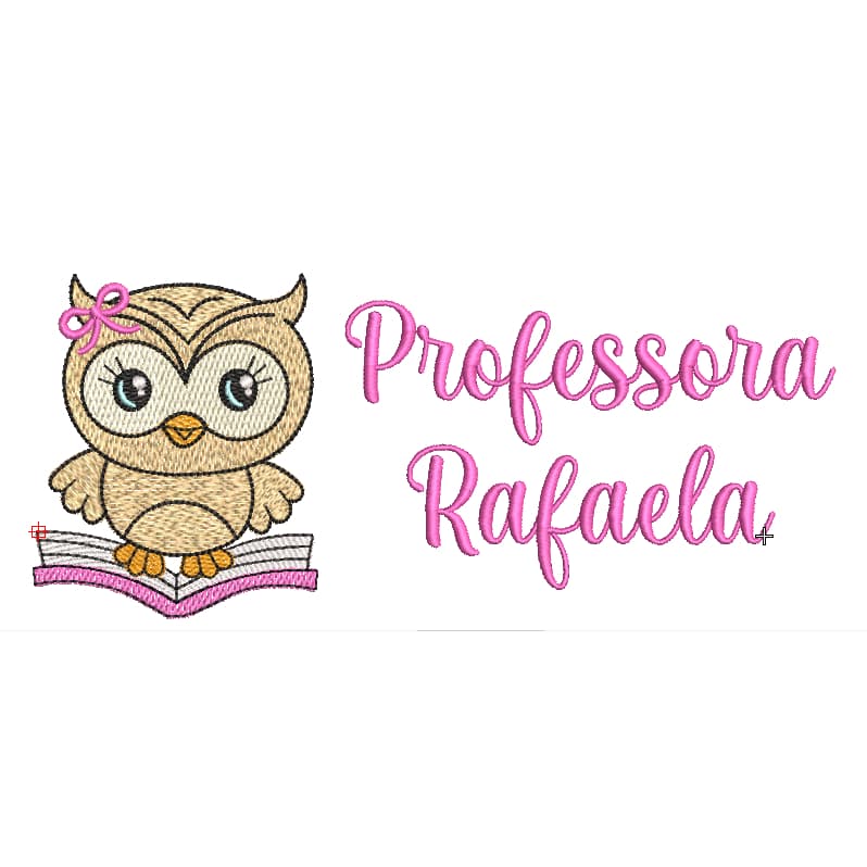 Toalha de Lavabo Bordada Coruja Professora Premium