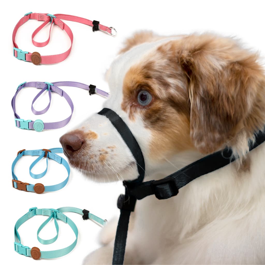 Coleira Cabresto para Cachorro Adestramento Pet Alta Qualidade Marca Toh Coleira Antipuxão Cães