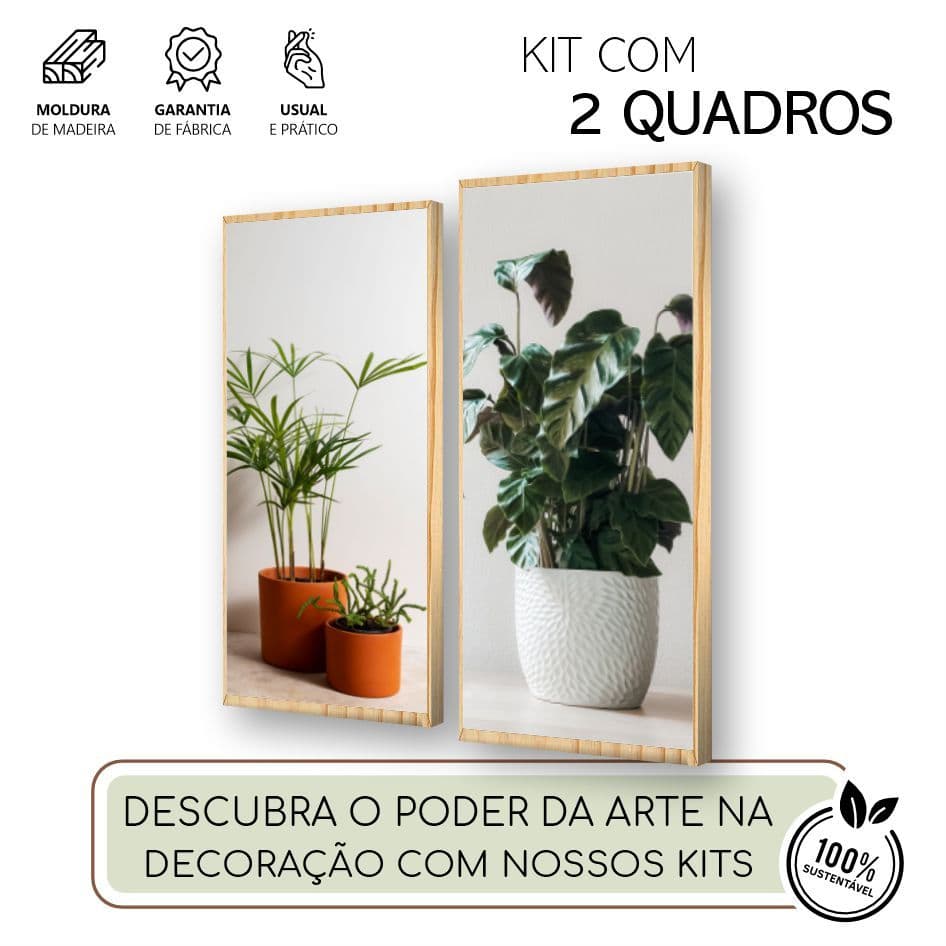 Dupla de Quadros Decorativos Flores - Moldura Filete