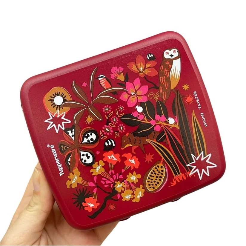 Tupperware Porta Lanche Sanduiche Winny