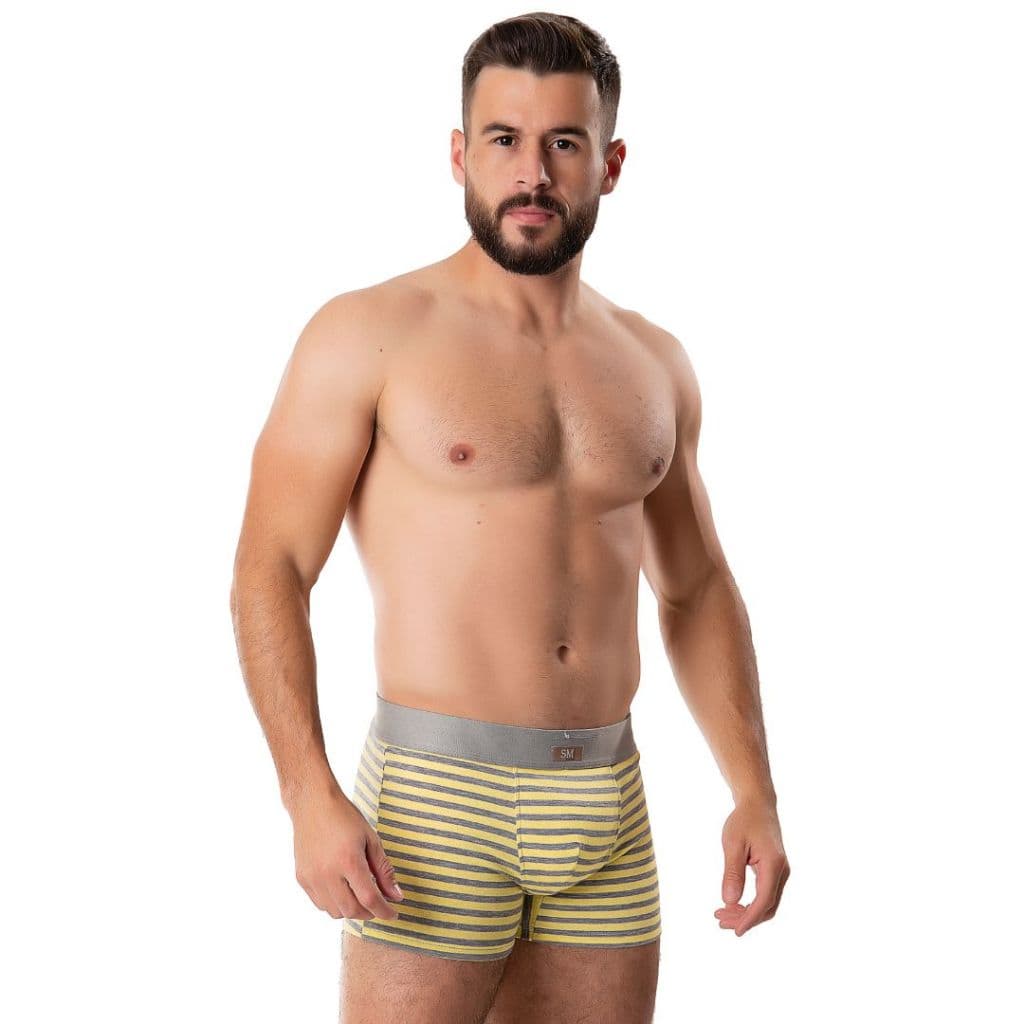 Kit com 4 Cuecas Boxer, Anatômica, Listras!!