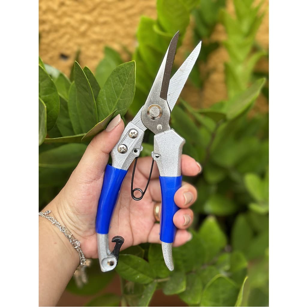 Tesoura Poda Jardim Bico Trava Mola 200mm Alpe & Aritana
