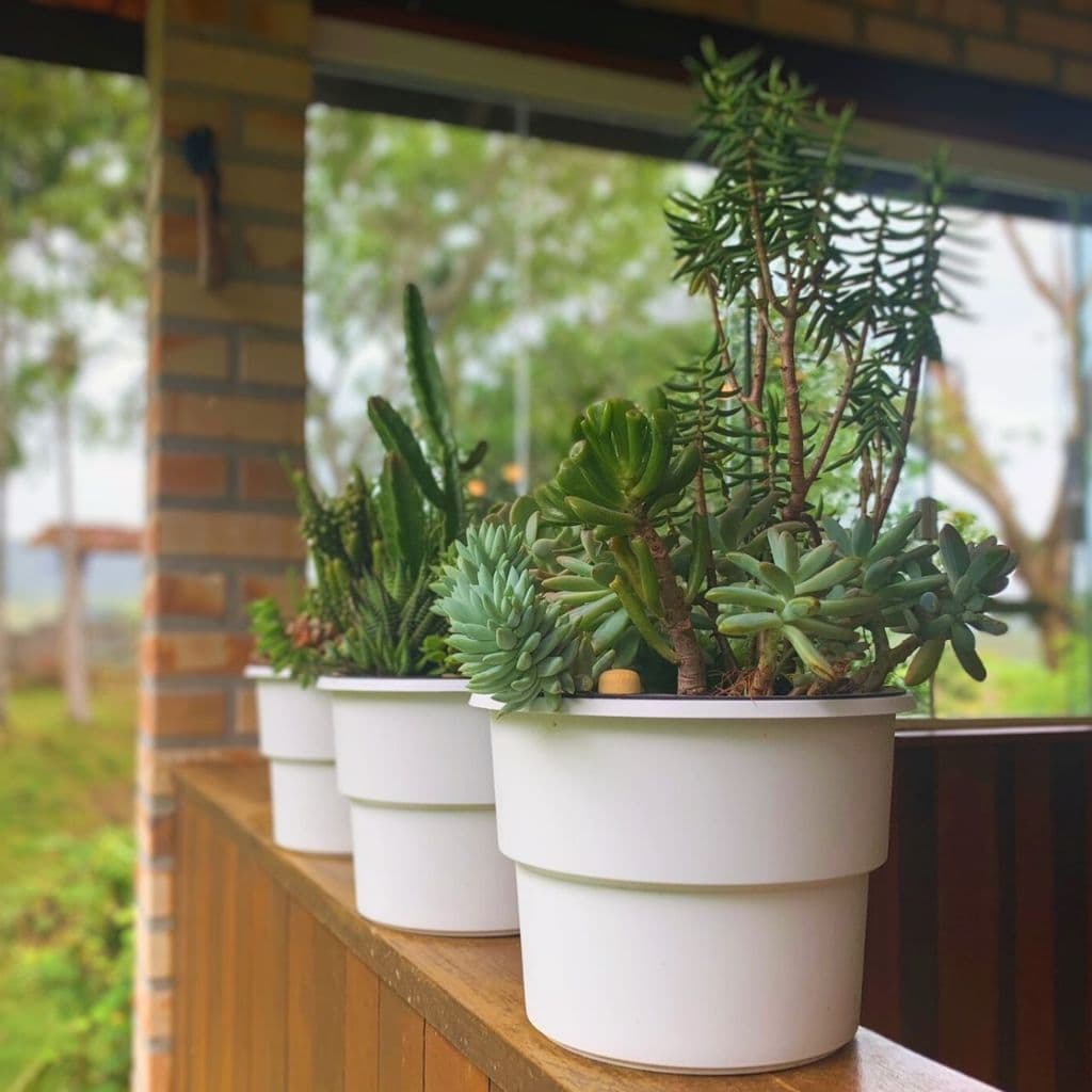 Kit 4 Vasos Plantas Vaso Autoirrigável Vaso Antidengue Para Flores Hortas Vaso com Cachepô