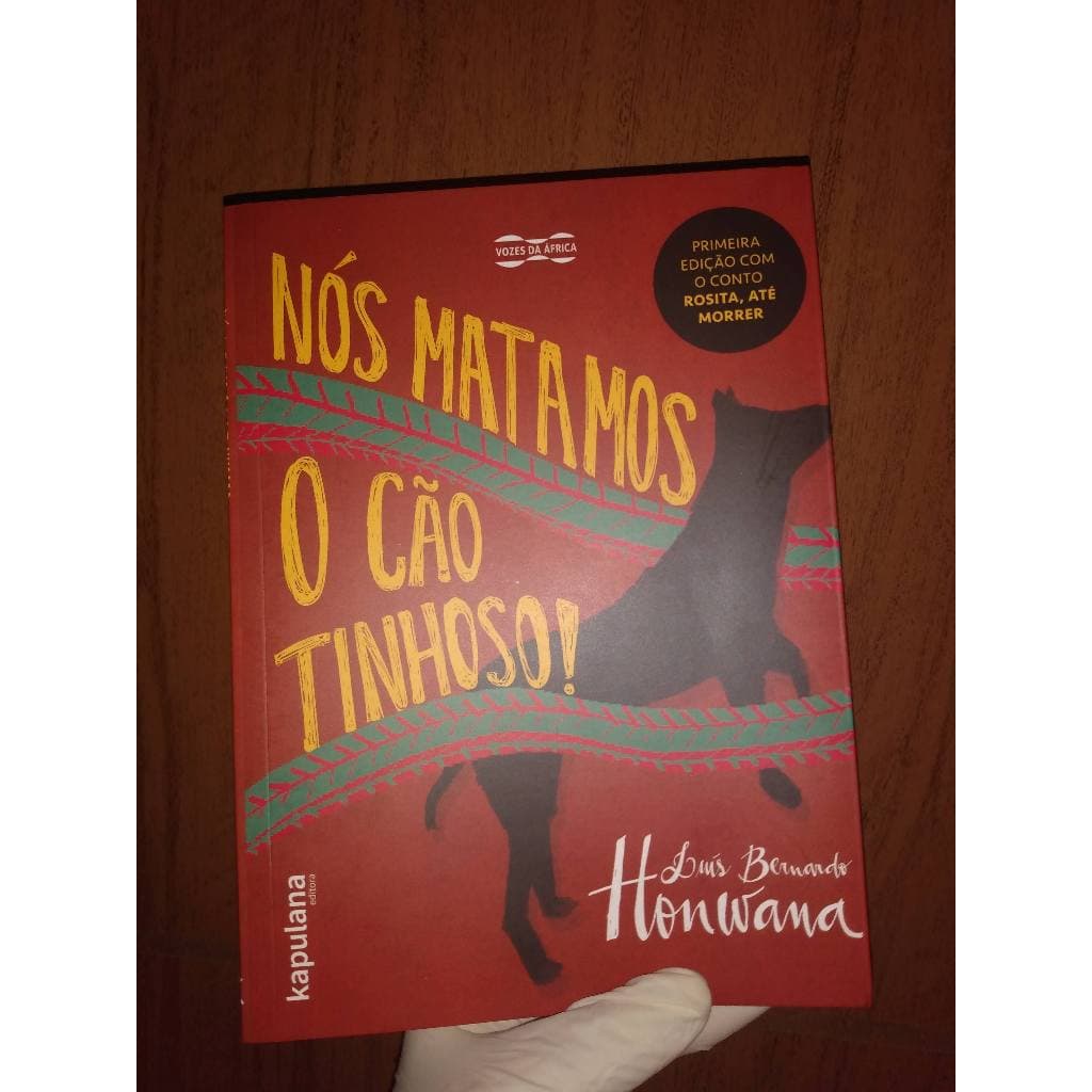 Nós Matamos o Cão Tinhoso!, Luís Bernardo Honwana