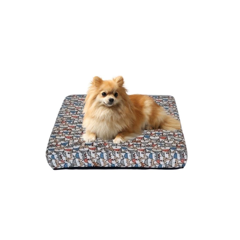Cama Pet Impermeável Pequeno Porte - Várias Cores