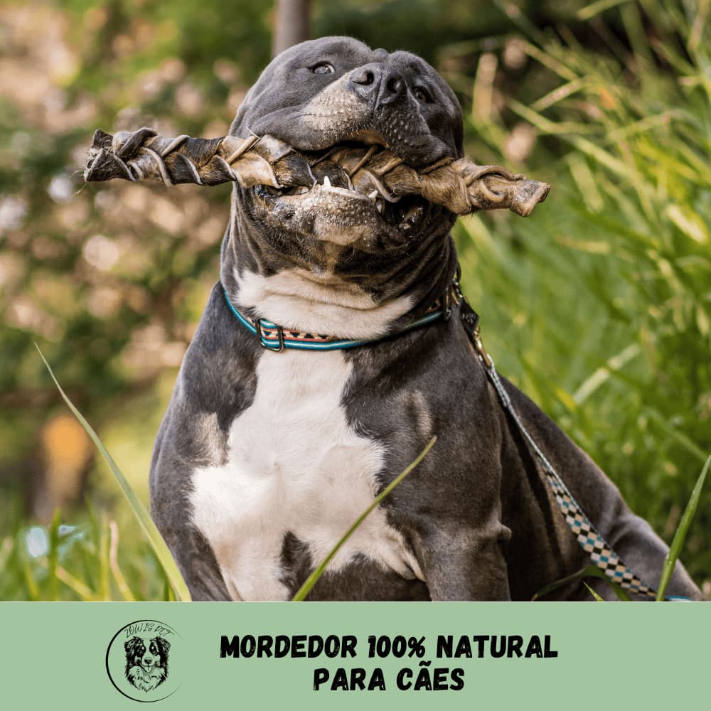 Trança de Couro Bovino para Cachorro Natuka - Mordedor Natural Pet P M G