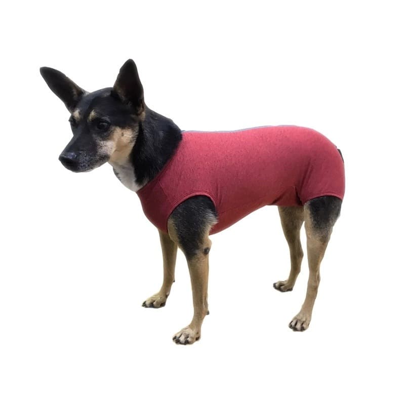 Roupa Protetora Pós Cirúrgica Pet Para Castração Recuperação Tecido Dry Fit Com Proteção Solar UV - Do 01 ao 15