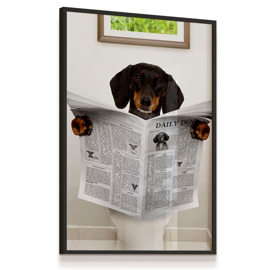 Quadro Decorativo Cachorro Salsicha Preto Orelha Lendo Jornal Banheiro Lavabo