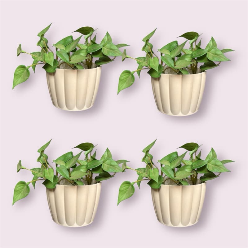 Kit 4 Cachepot Vasos para Plantas Moranga N2