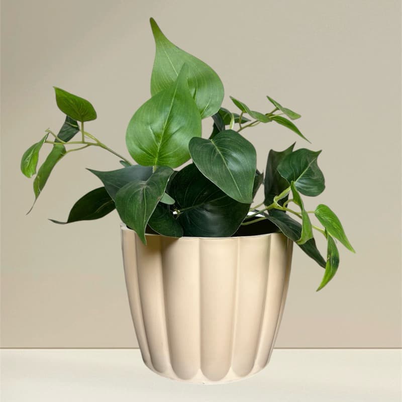 Cachepot Vaso para Plantas Moranga N3