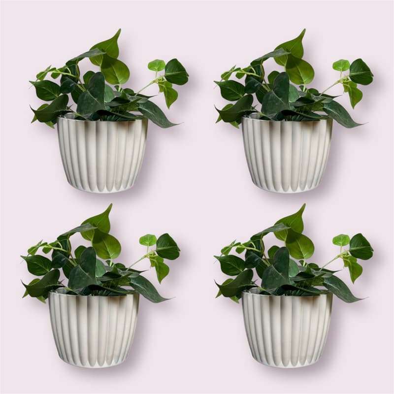 Kit 4 Cachepot Vasos para Plantas Moranga Squach N3