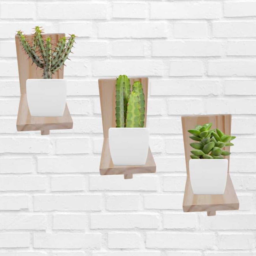Porta Suculentas de Madeira Pinus Selecionadas Kit Com 3 Unidades