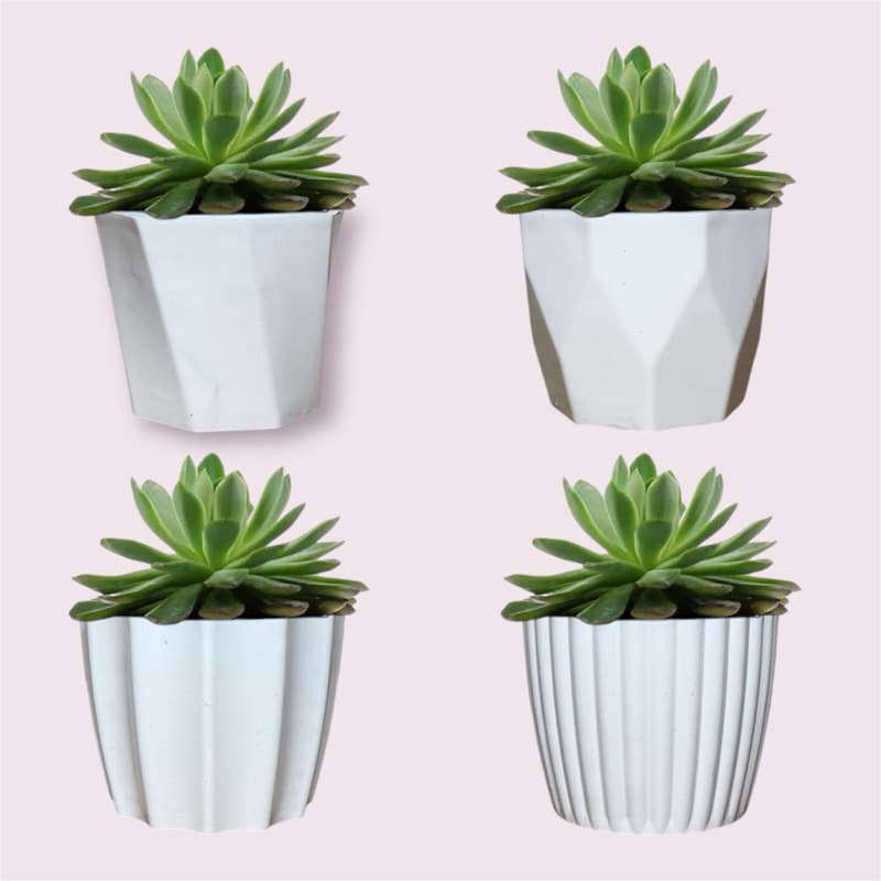 Kit 4 Mini Cachepot Vasos Texturizados para Plantas, Cactus, Suculentas Tam: 5,5x6,5cm Plástico Intejado