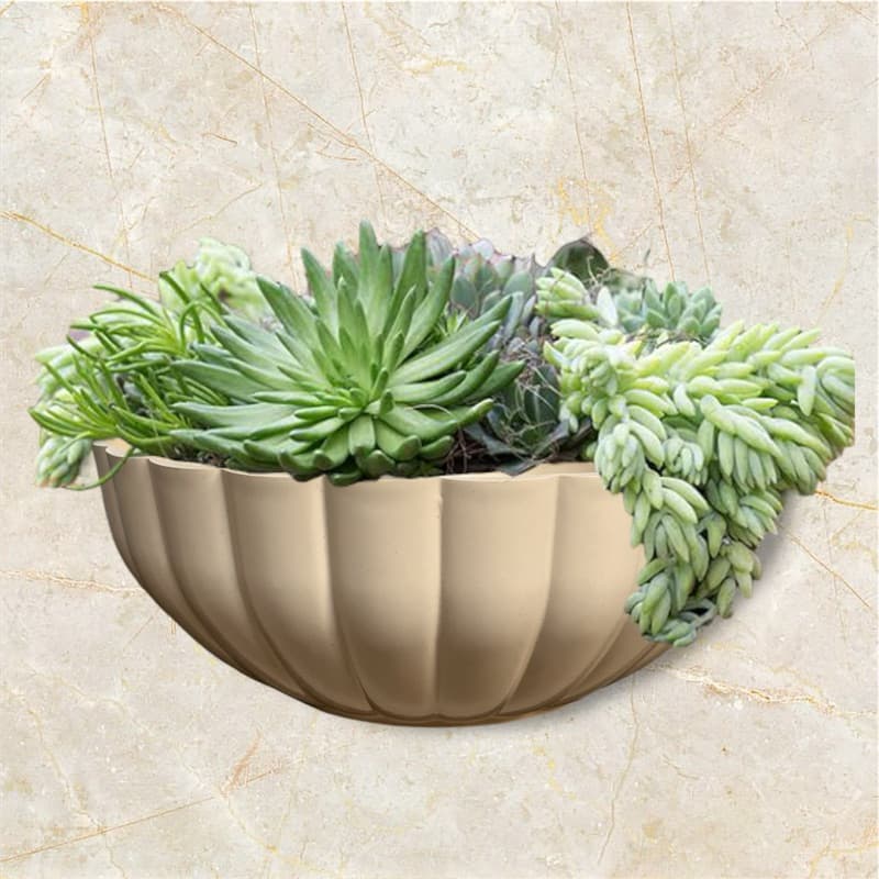 Cachepot Vaso Bacia para Plantas Suculentas Cactus Moranga N25