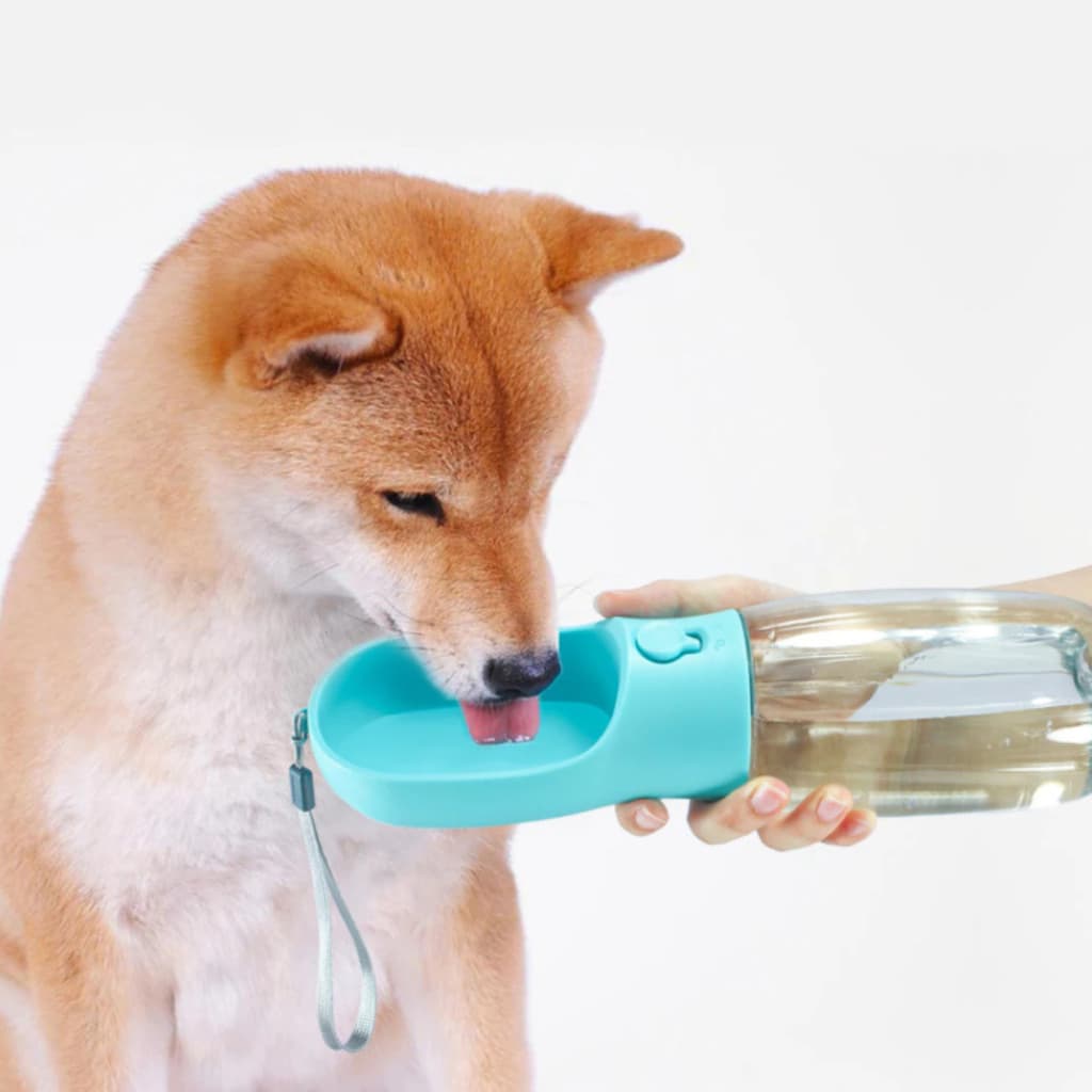 Bebedouro Portátil Para Pets 550ml - Garrafa De Água Prática E Higiênica Para Hidratação Do Pet