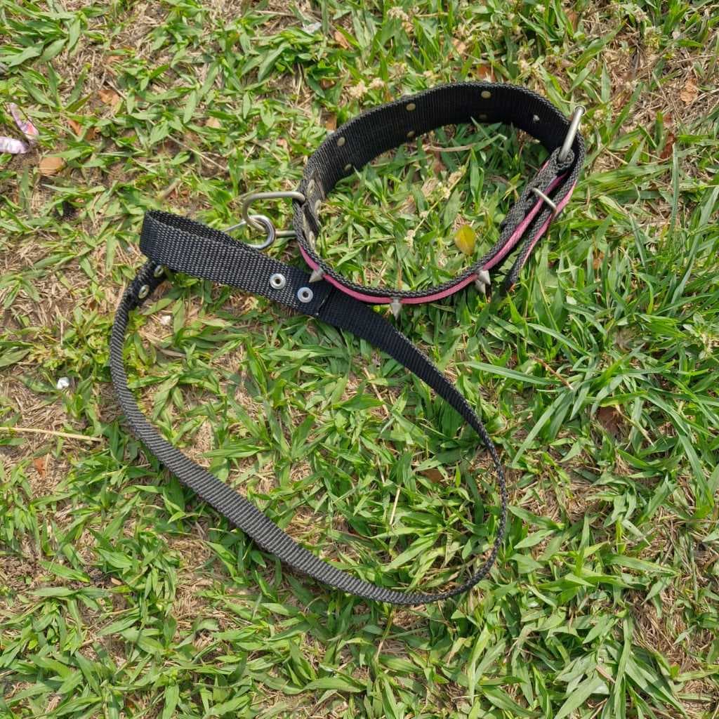Guia Para Coleira De cão Porte Grande 30mm 80cm Total