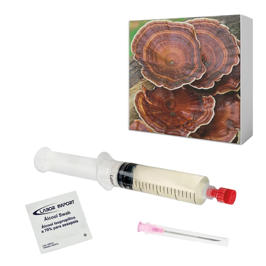 Semente de Reishi 10ml - Cultura Líquida Seringa de Micélio Cogumelo Ganoderma lucidum