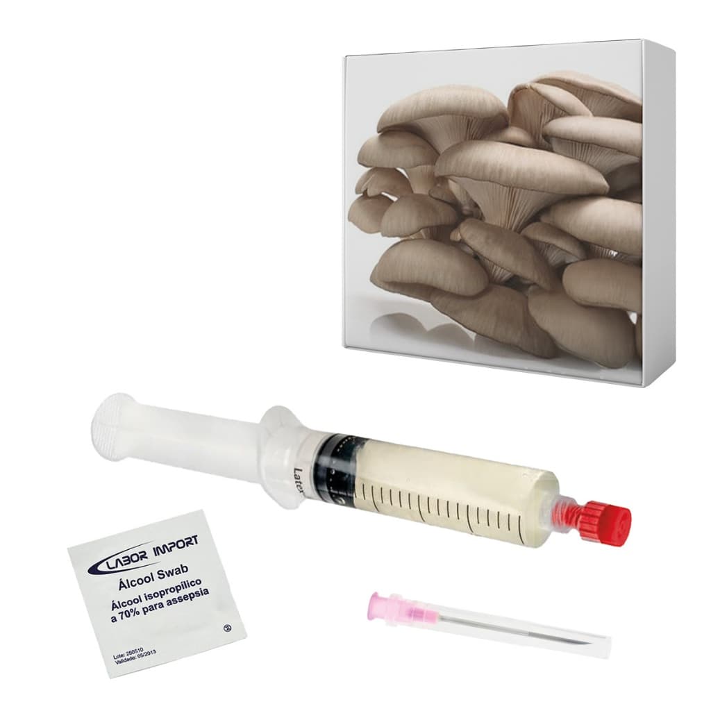 Semente de Shimeji "Pérola" 10ml Cultura Líquida Cogumelo P ostreatus Ostra Hiratake Seringa Micélio