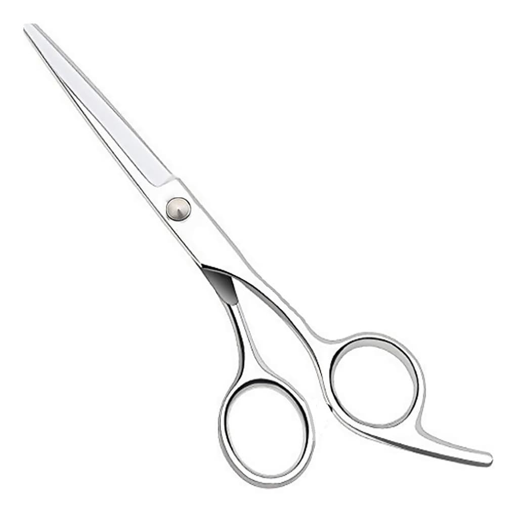 Tesoura Cabeleireiro Profissional Fio Laser 6.5 Polegadas Aço Inoxidável Barbearia e Salão