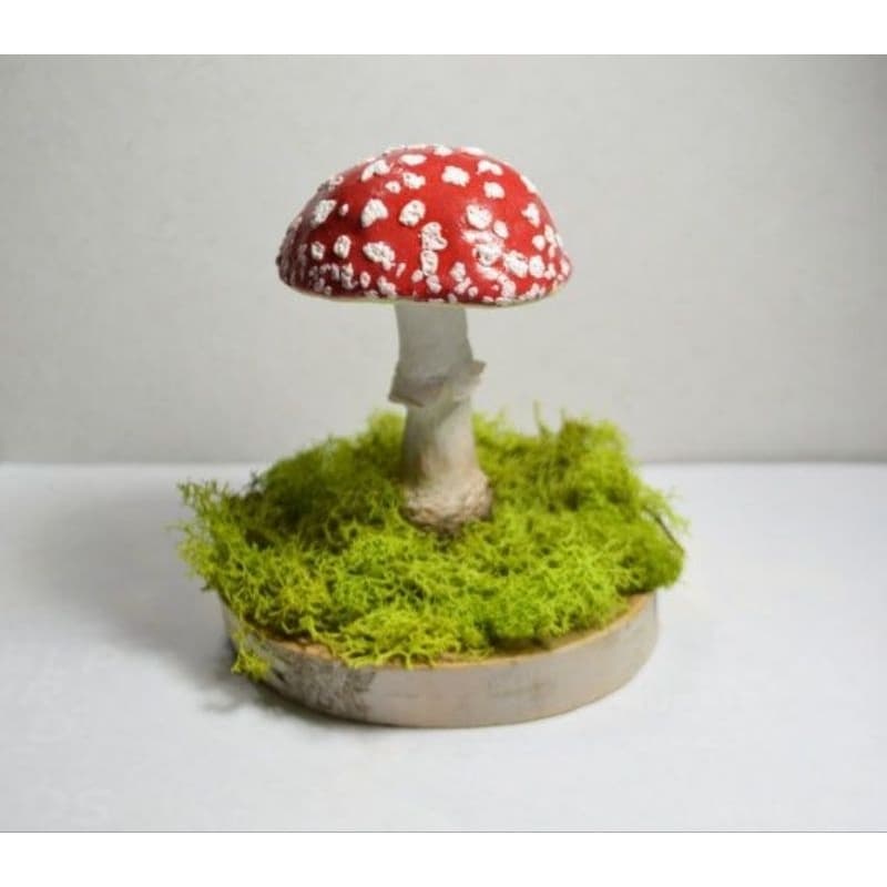 Cogumelo Decorativo e Incensário Vareta com musgo e base de Madeira