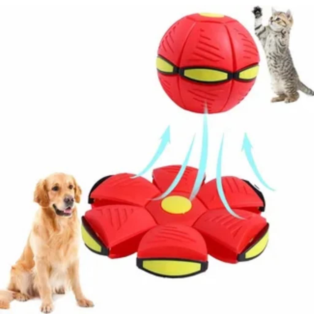 Bola Mágica para cães.