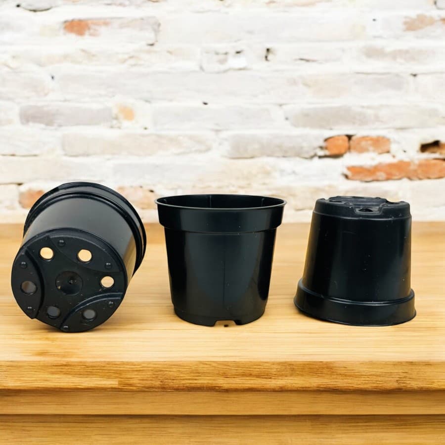 20 Vasos Plasticos Pote 6 Preto Para Cactos e Suculentas 80ml