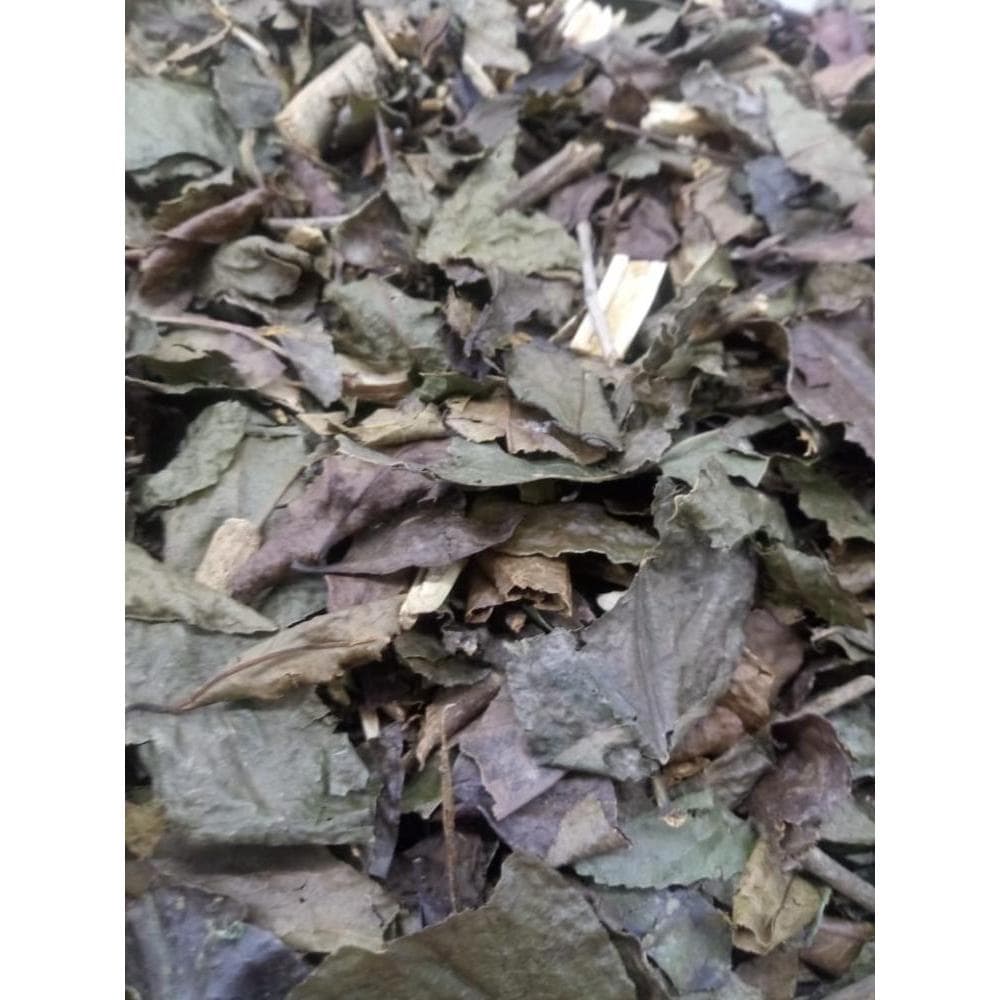 CHÁ DE BUGRE (PORANGABA)100G