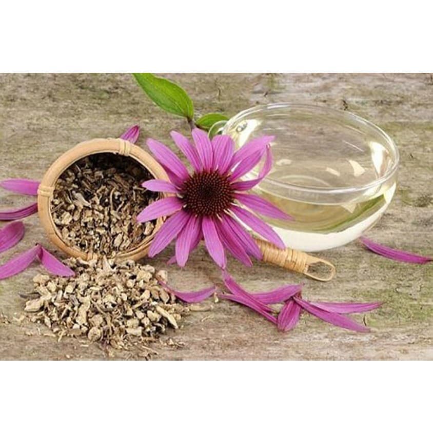 EQUINÁCEA FLOR/FOLHA 100G