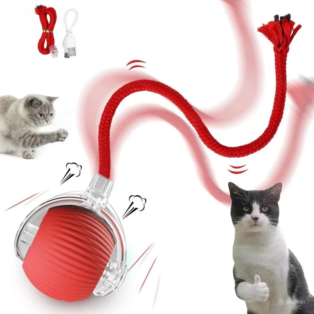 Brinquedo Interativo Para Pets Bola Bolinha Elétrica Automática Brinquedos Pet Animais De Estimação Recarregável Por USB