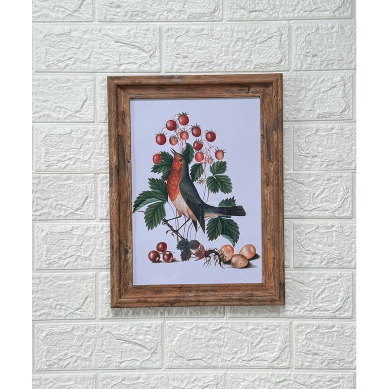 Quadro decorativo arte pintura, European Robin - James Bolton, decoração natureza pássaro