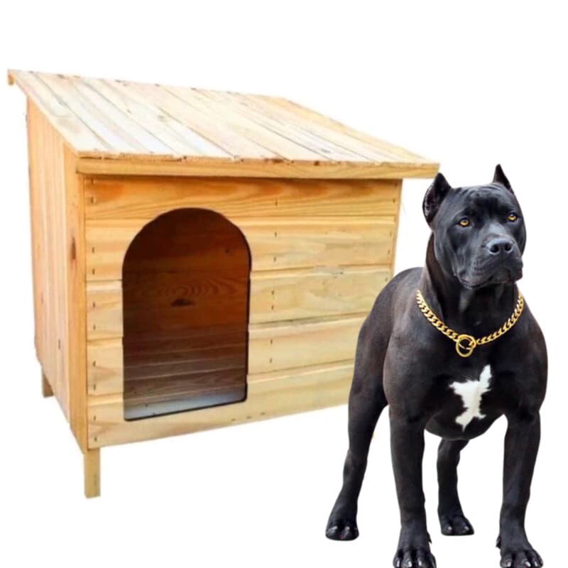 CASA CASINHA N8 PARA CACHORRO DE PORTE GRANDE EDICULA GRANDE E ESPAÇOSA MADEIRA PINUS CACHORRO PET