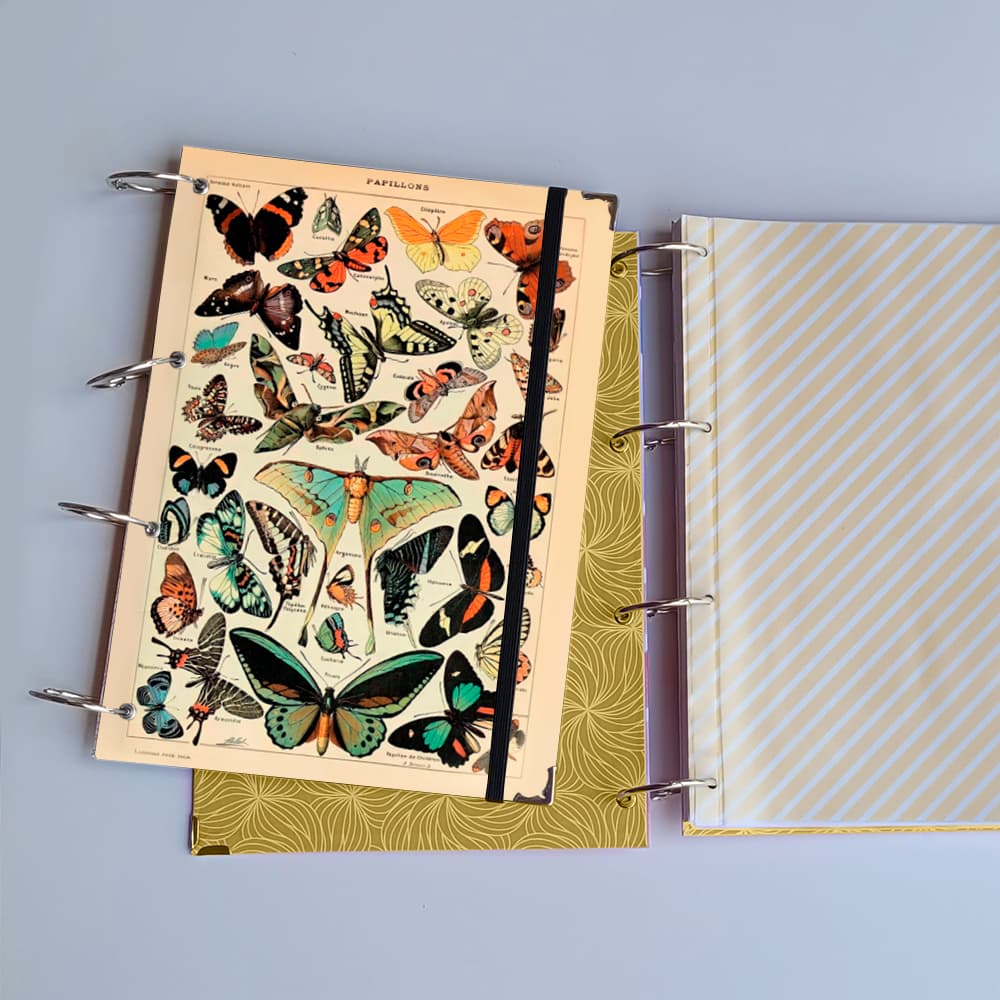 Caderno Argolado Borboleta Papillon (Capa e Argolas Articuladas) Universitário Colegial A5 Fichário