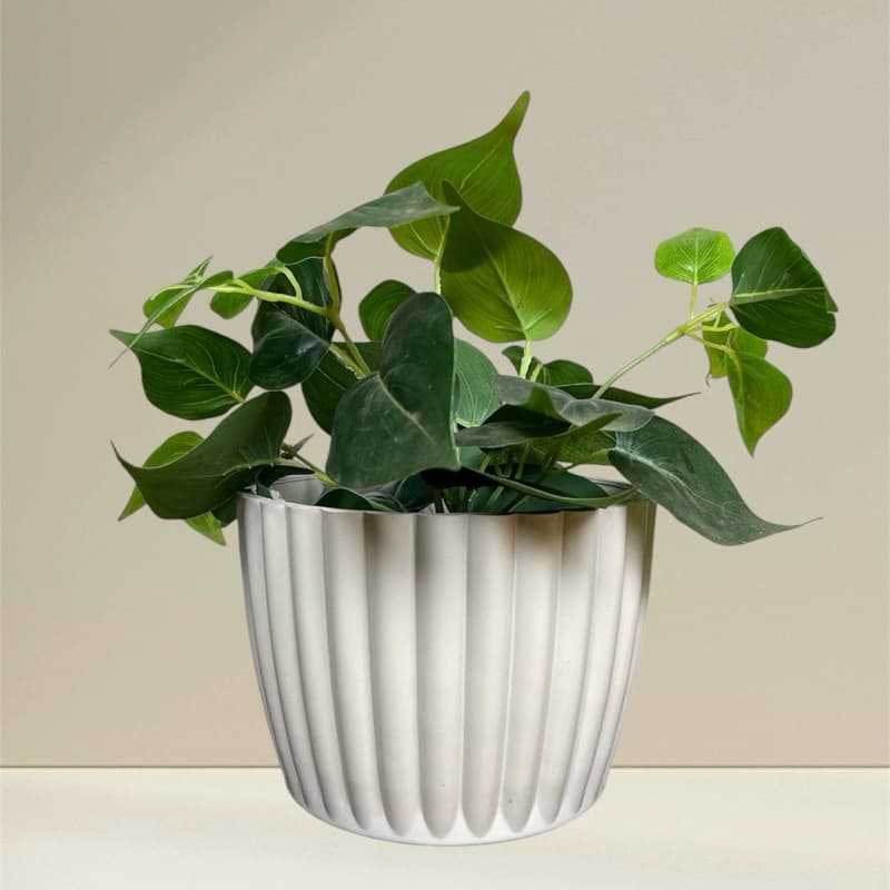Cachepot Vaso para Plantas Suculentas Cactus Moranga Squach N3