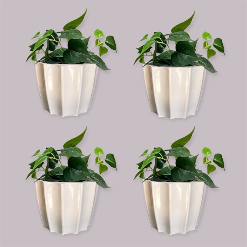 Kit 4 Vasos Cachepot para Plantas Plástico Injetado Cacau N3