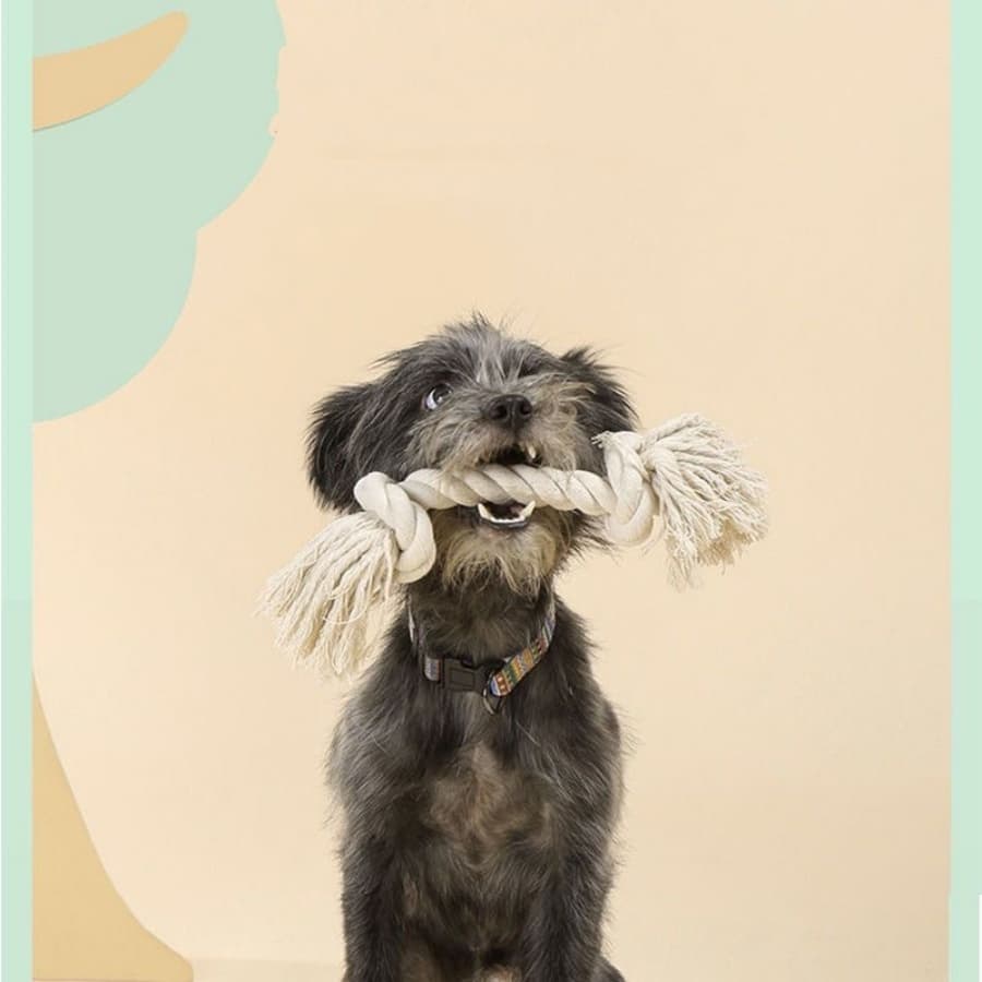 Brinquedo Corda Nó Crochê Brinquedo Mordedor P/ Cães Cachorro Pet Cabo De Guerra 32CM AH122-11