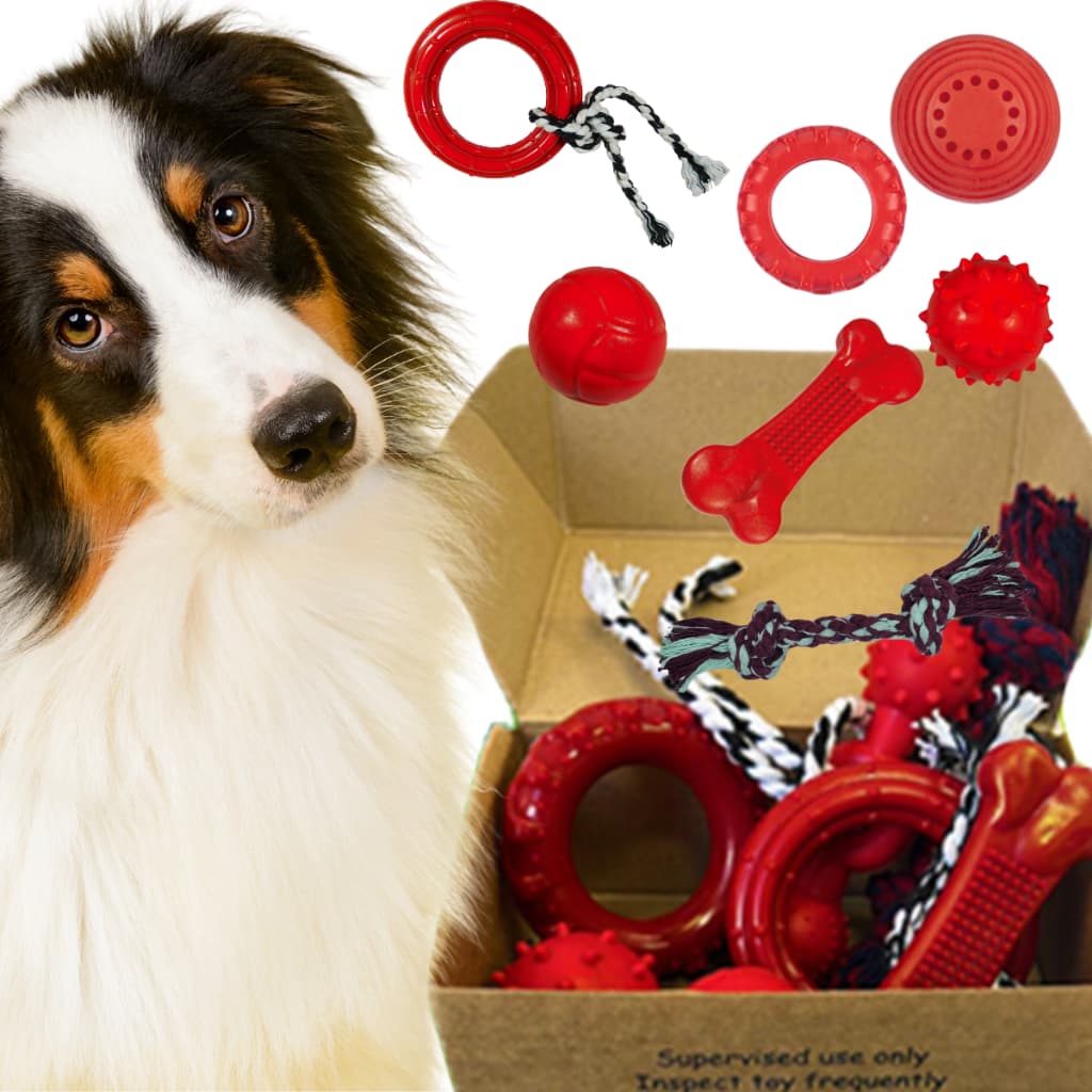 Kit 7 Brinquedos Mordedor Pet Cachorro Filhotes Porte Médio Duratoys Breeds