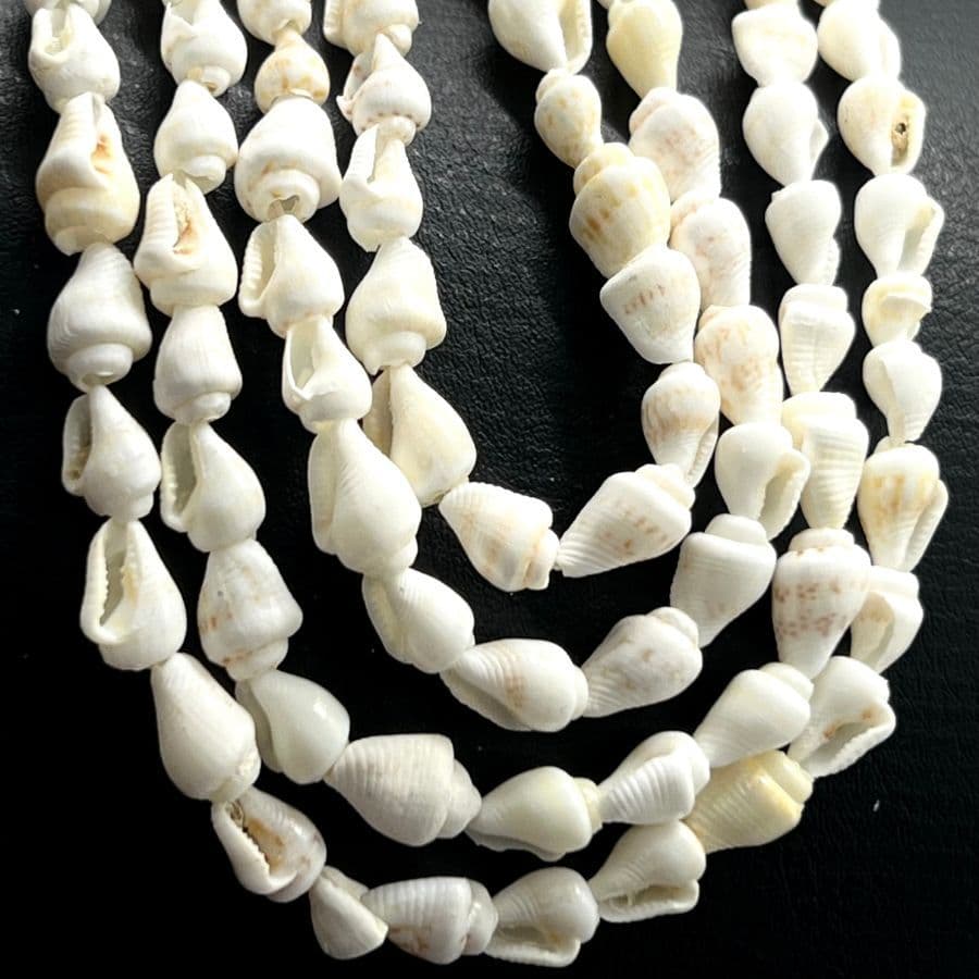 Fio de Concha Natural Aprox.190 Conchas Para Bijuterias Colares Pulseiras e Artesanato em Geral
