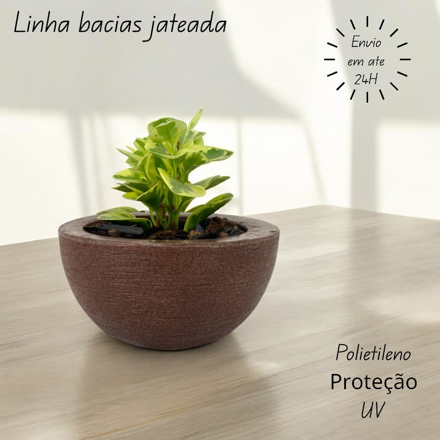 vaso decorativo para plantas bacia cuia polietileno moderno luxo jateado familia grafiato