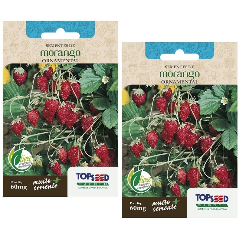 2X Sementes de Morango Ornamental 60mg Topseed Silvestre Carnudas Vasos Hortas Flores