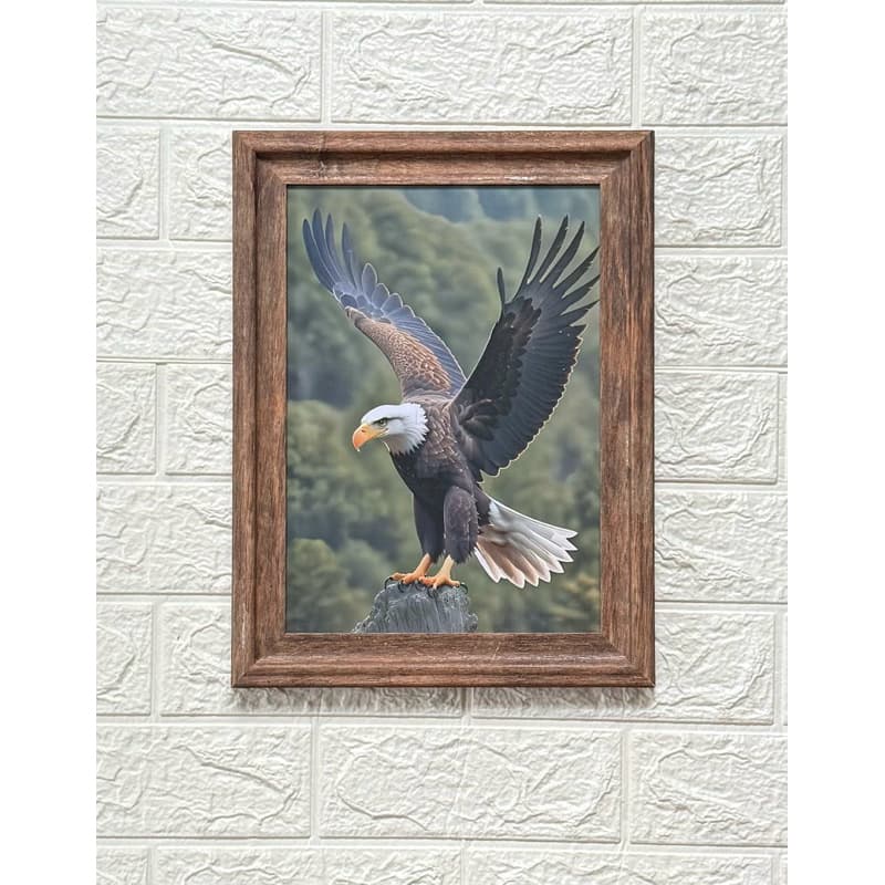 Quadro decorativo águia, decoração sala, quarto - animais