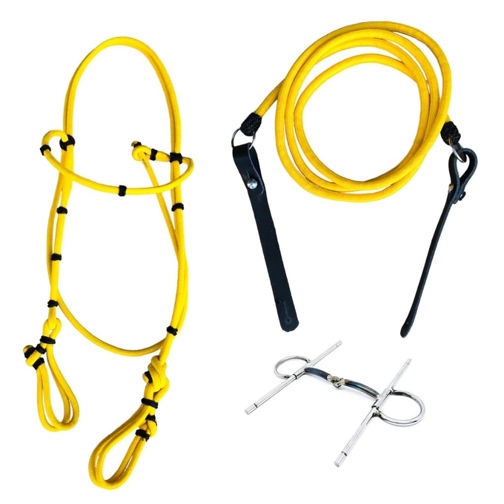 Kit Bridão Caneta Bocal De Ferro Com Rédea E Cabeçada De Cordinha Cavalos Mulas