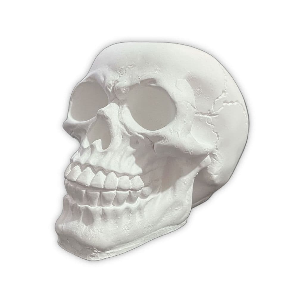 Imagem Cranio 8cm em Gesso Cru