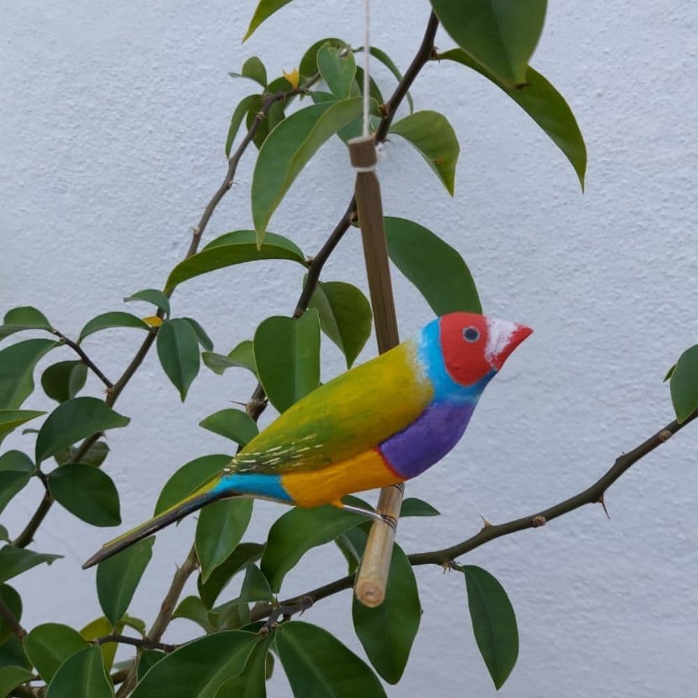 Pássaro de Madeira Diamante de Gould
